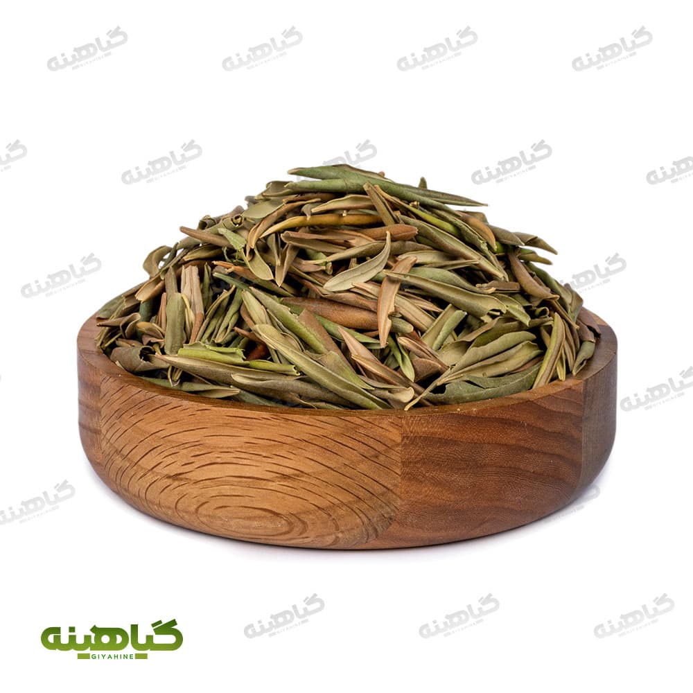 برگ زیتون خشک