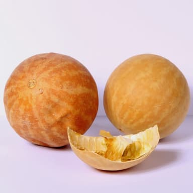 حنظل (هندوانه ابوجهل)