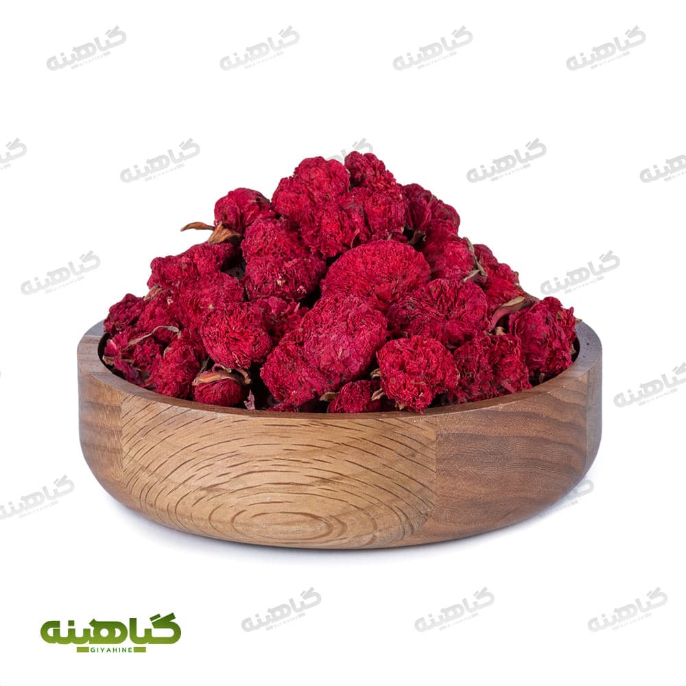 گلنار فارسی