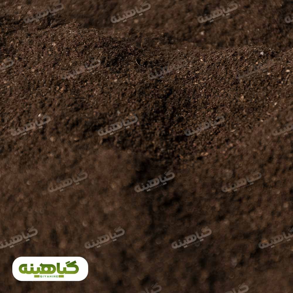 پودر لیمو سیاه image