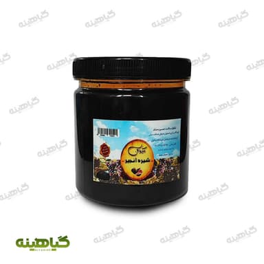 شیره انجیر 700 گرمی نیکوان