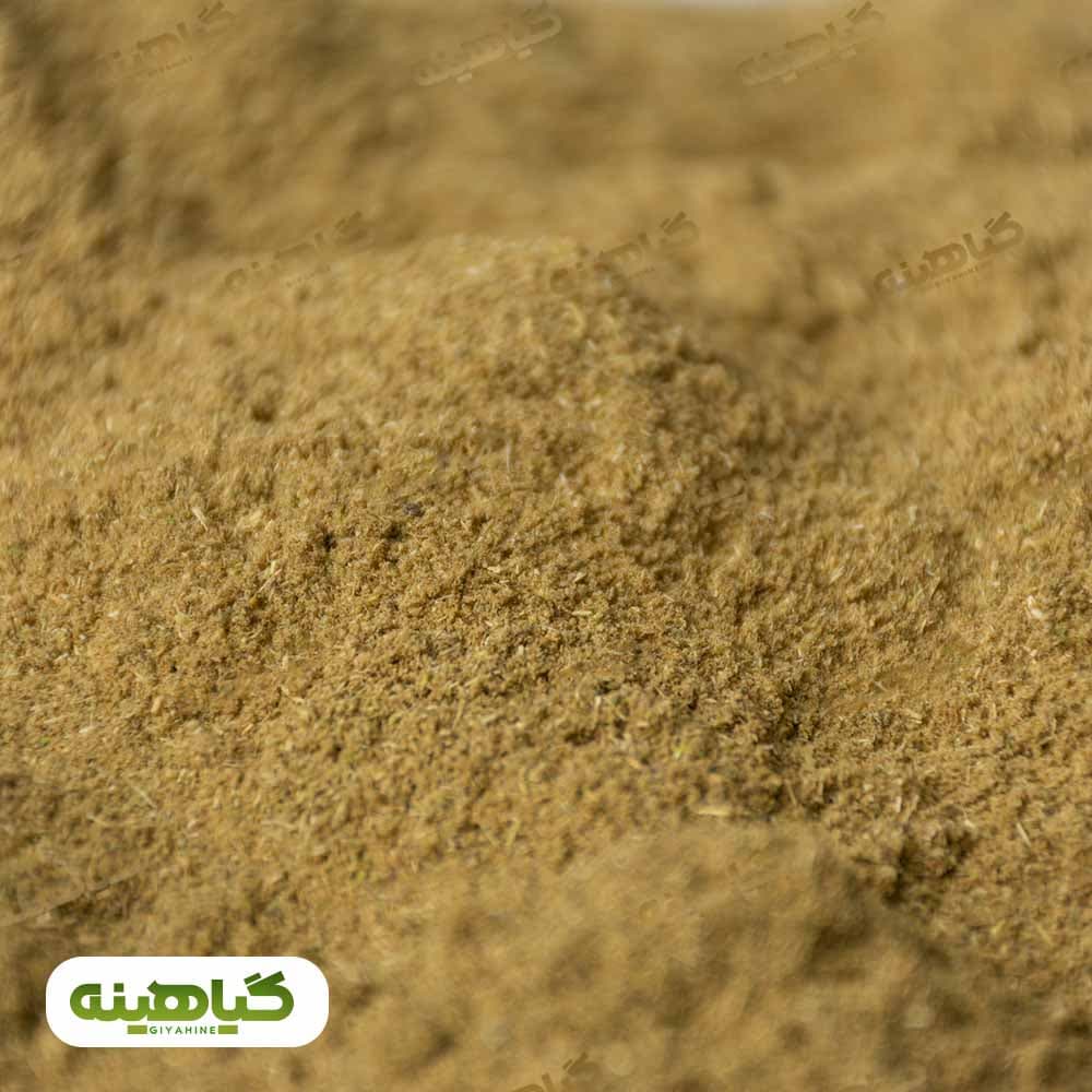 پودر زیره سبز image