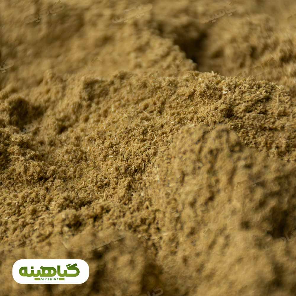 پودر زیره سبز image