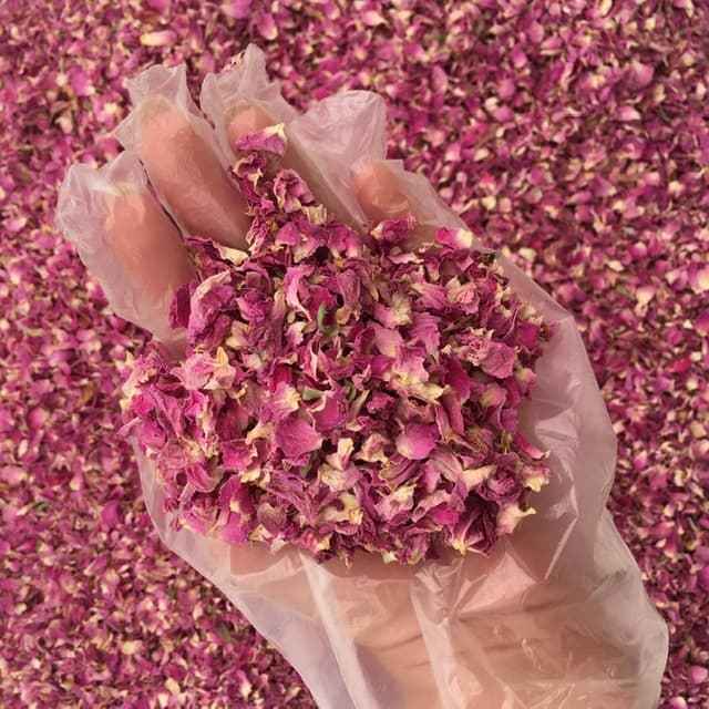 برگ خالص گل محمدی لوکس گیاهینه image