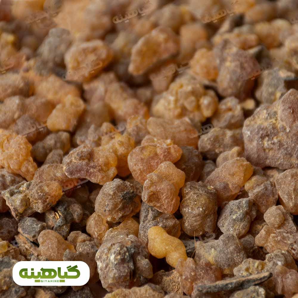 کندر آتشی دانه درشت image
