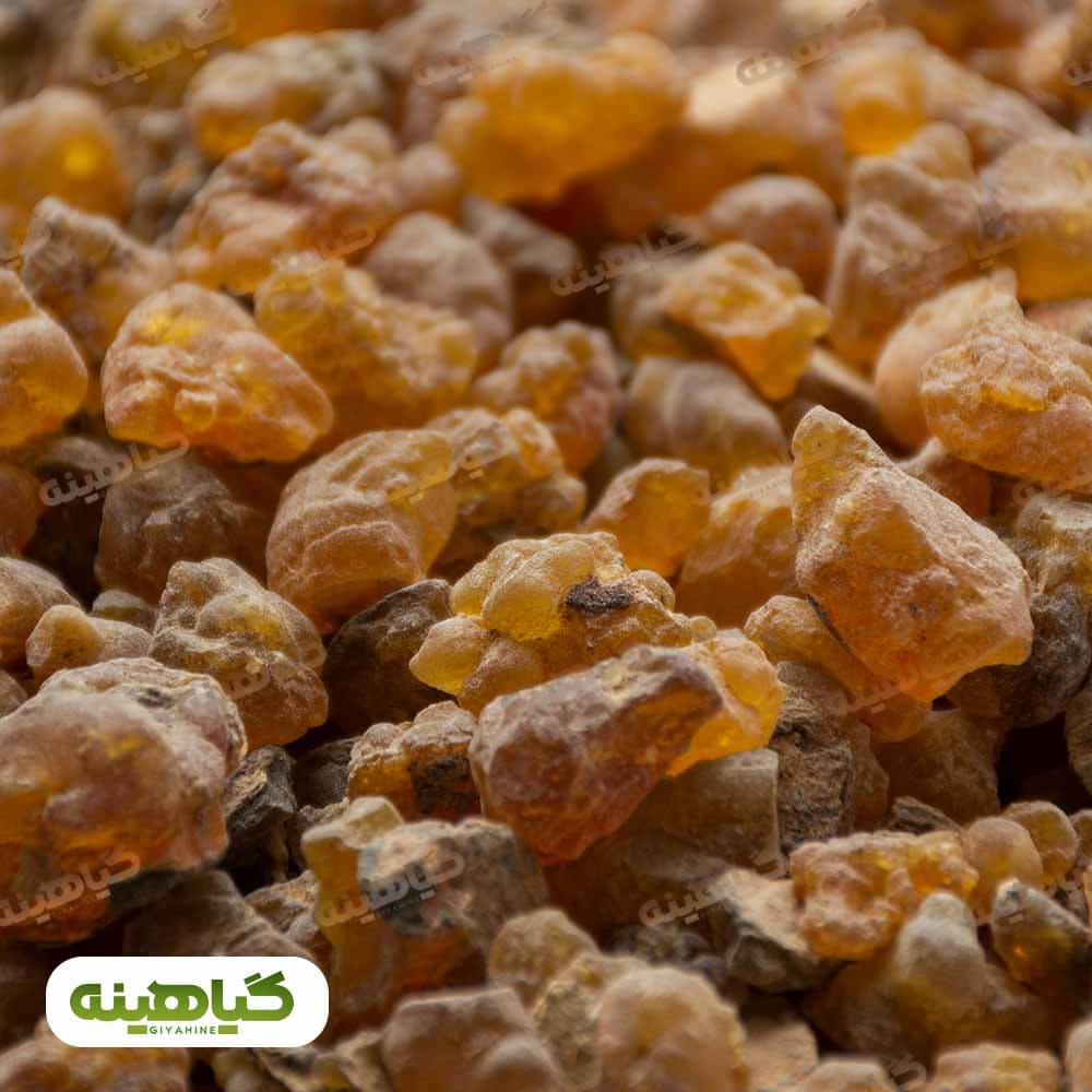 کندر آتشی دانه درشت image