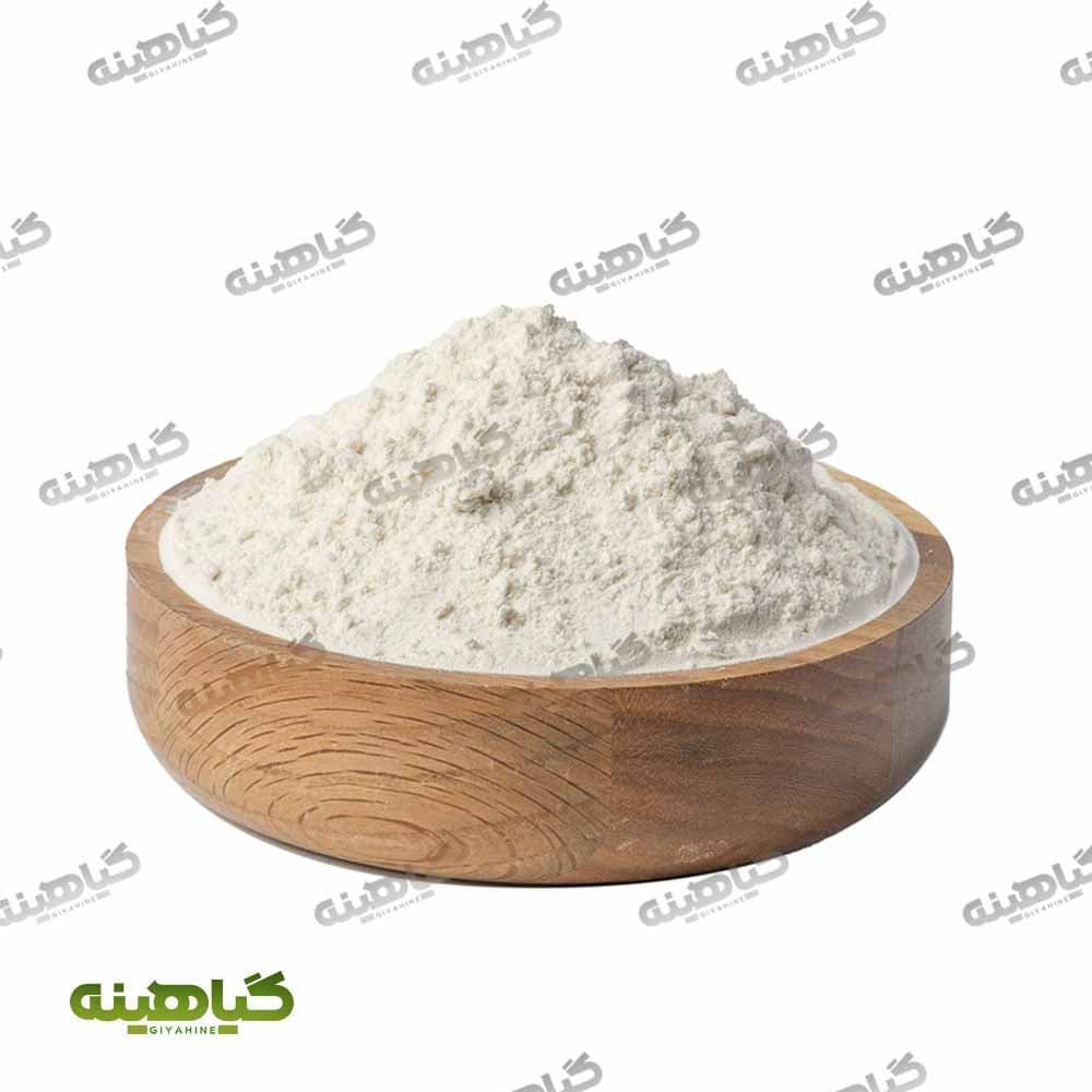 ثعلب بستنی