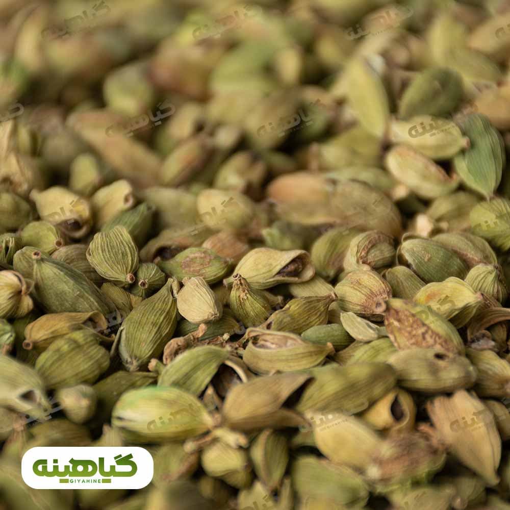 هل اکبر آبی (شکسته) image