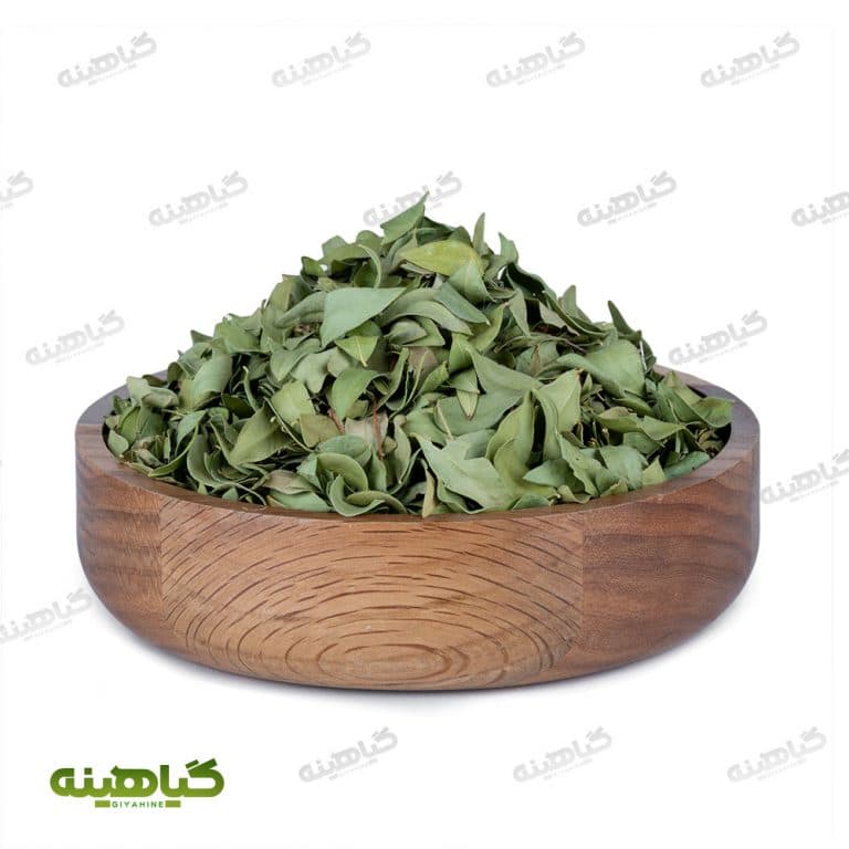 برگ مورد