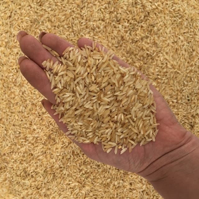 برنج دودی شمالی image
