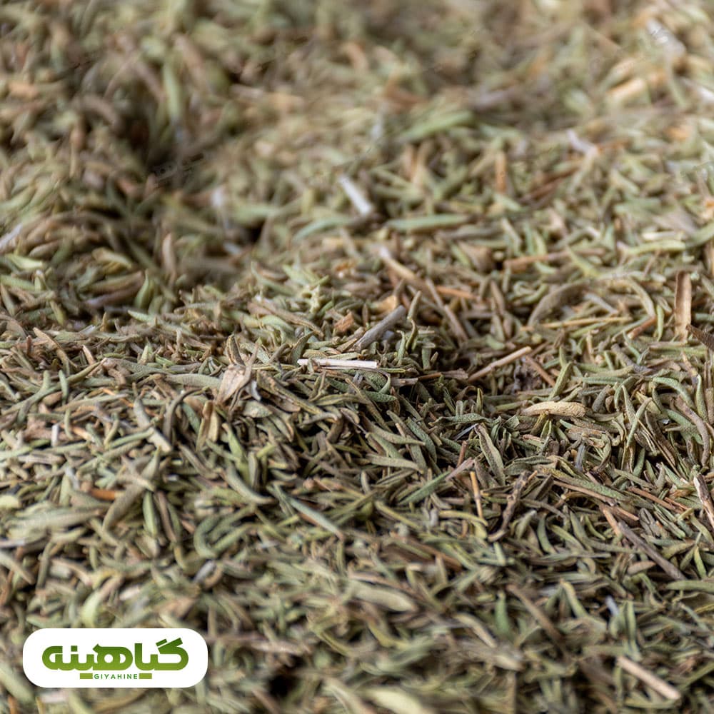 اویشن کوهی image