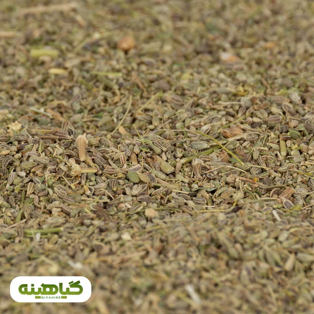 بذر انیسون (بادیان رومی) image