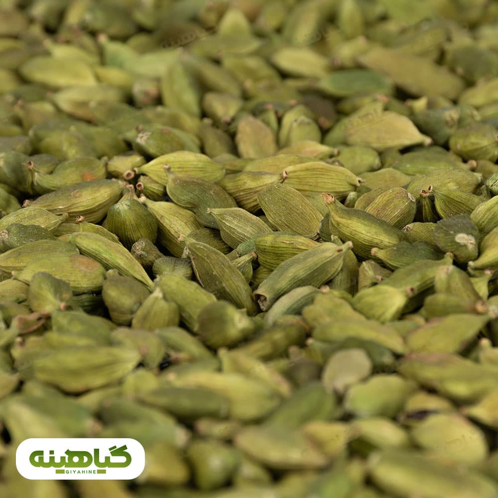 هل سبز درشت image