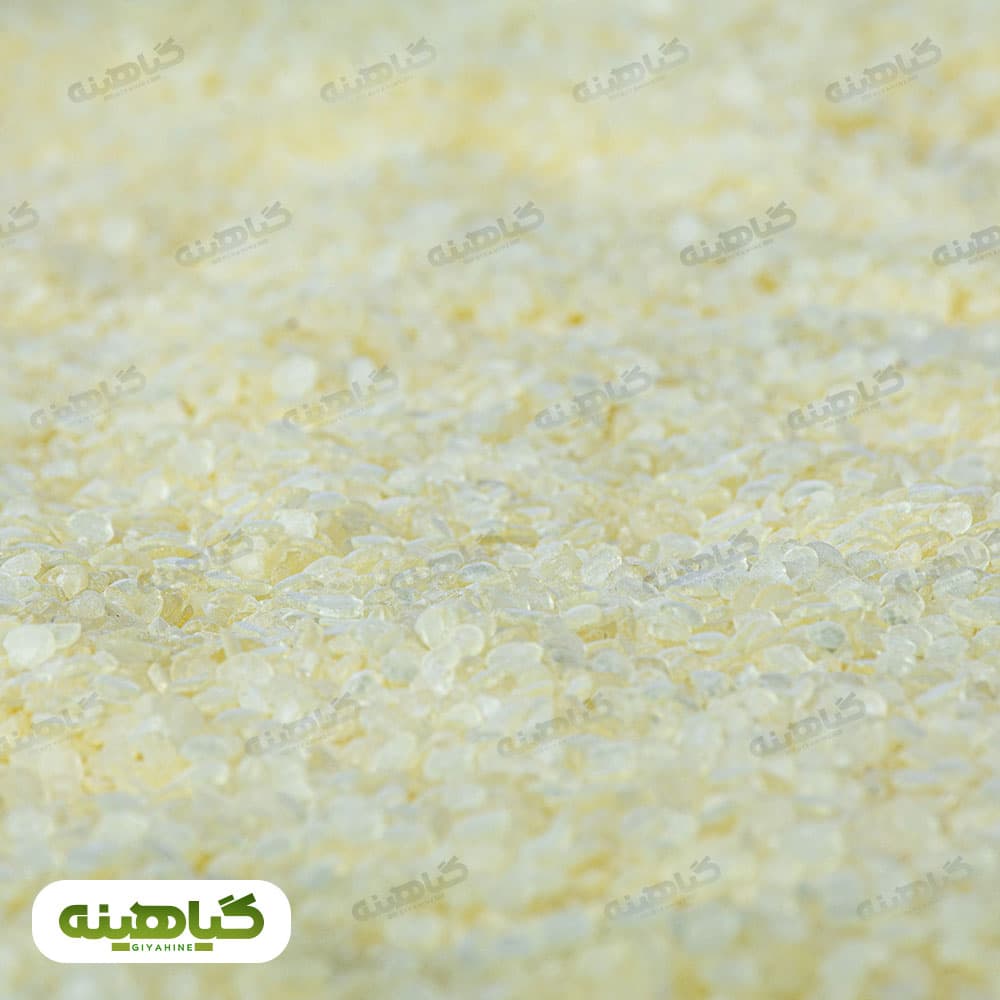 مصطکی ریز image
