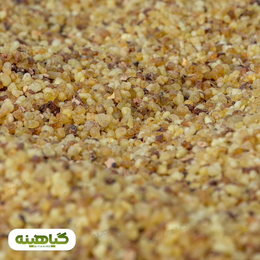 کندر آتشی دانه ریز image