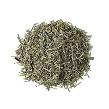 گیاه دم اسب