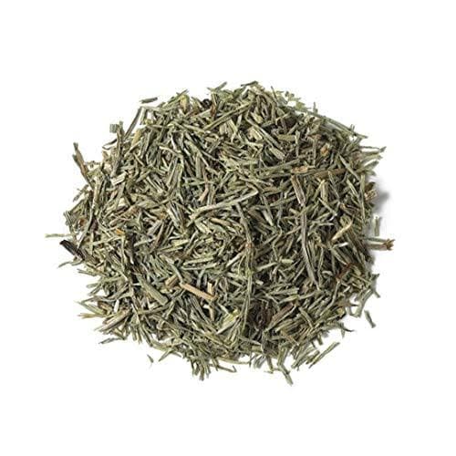 گیاه دم اسب