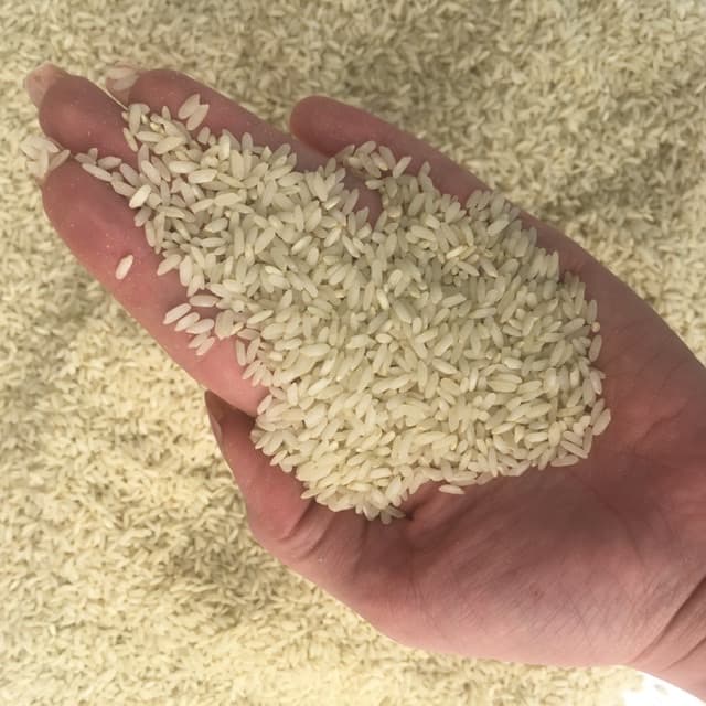 برنج لنجان درجه یک image