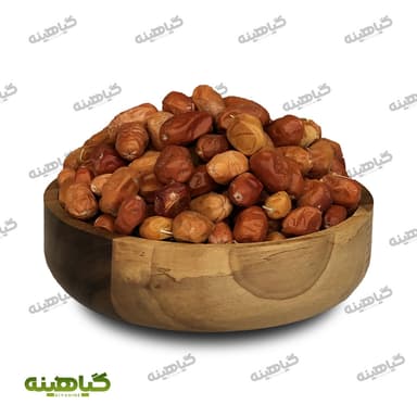 سنجد درشت