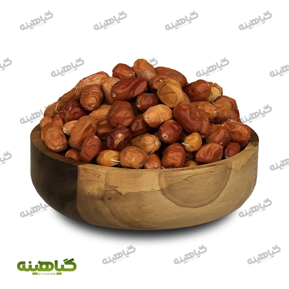 سنجد درشت