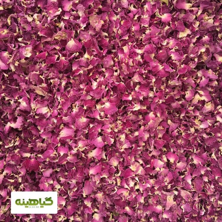 برگ خالص گل محمدی image