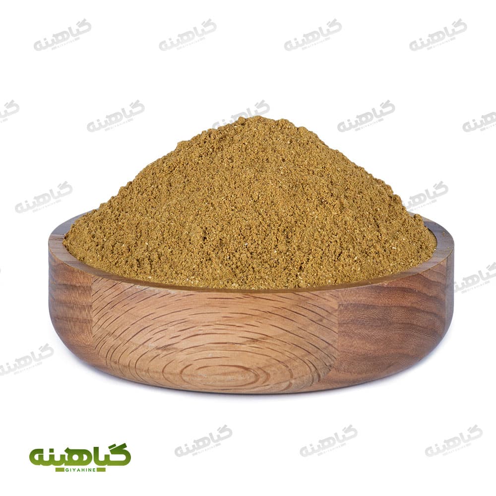 ادویه همبرگر