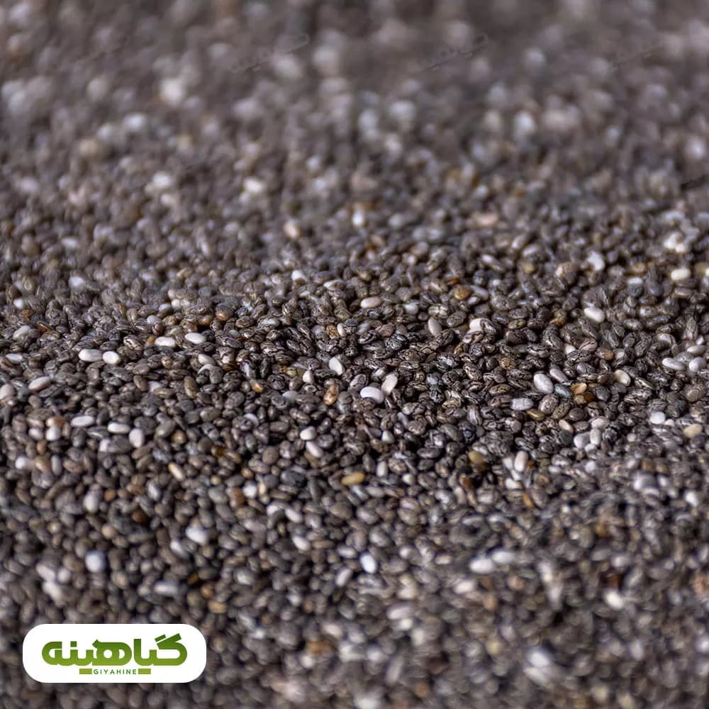 خرید قیمت دانه چیا آرژانتین
