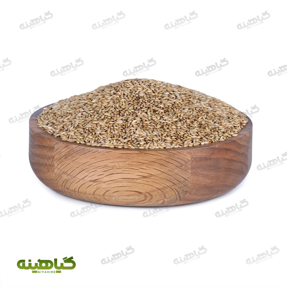 تخم کتان سفید