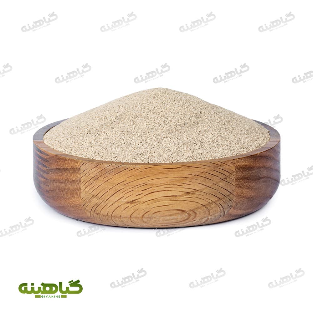 مایه خمیر