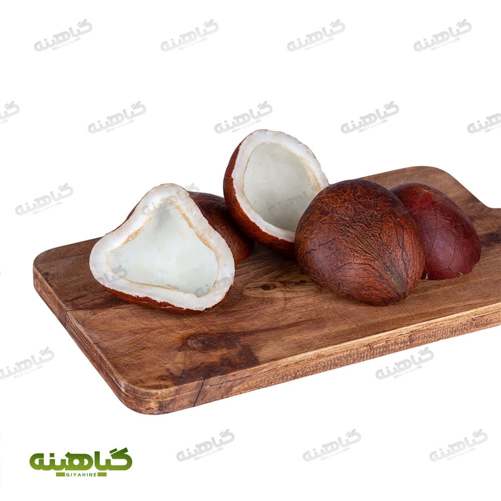 نارگیل کاسه (قاب)
