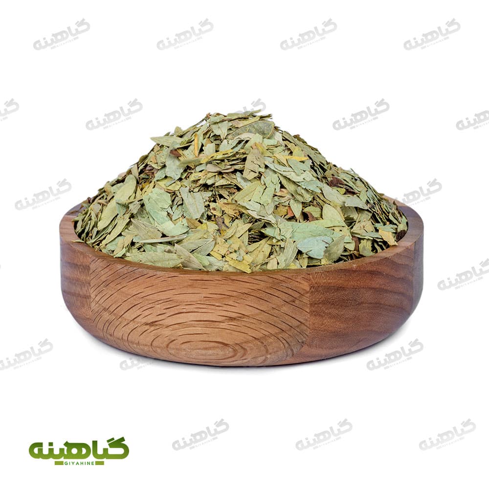 برگ سنا