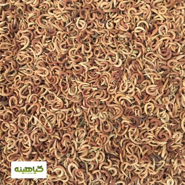 ناخنک