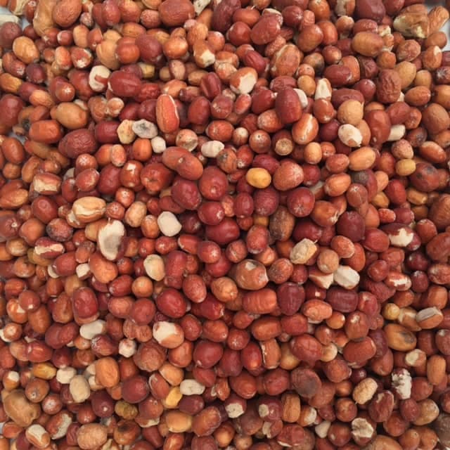 سنجد ریز مخصوص آسیاب image