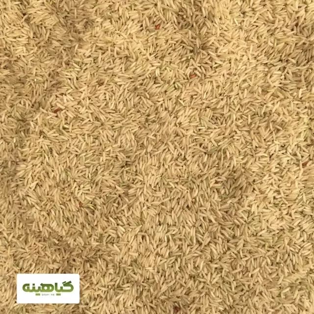 برنج قهوه‌ای image