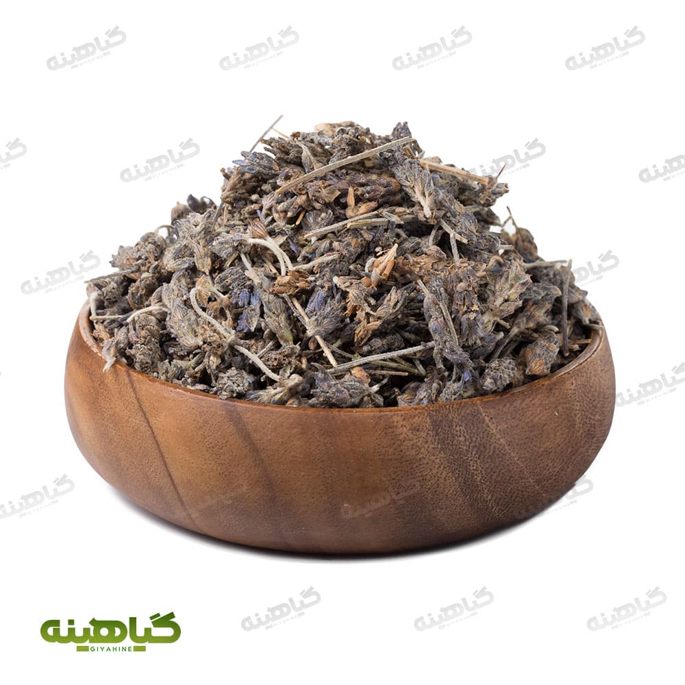 اسطوخودوس