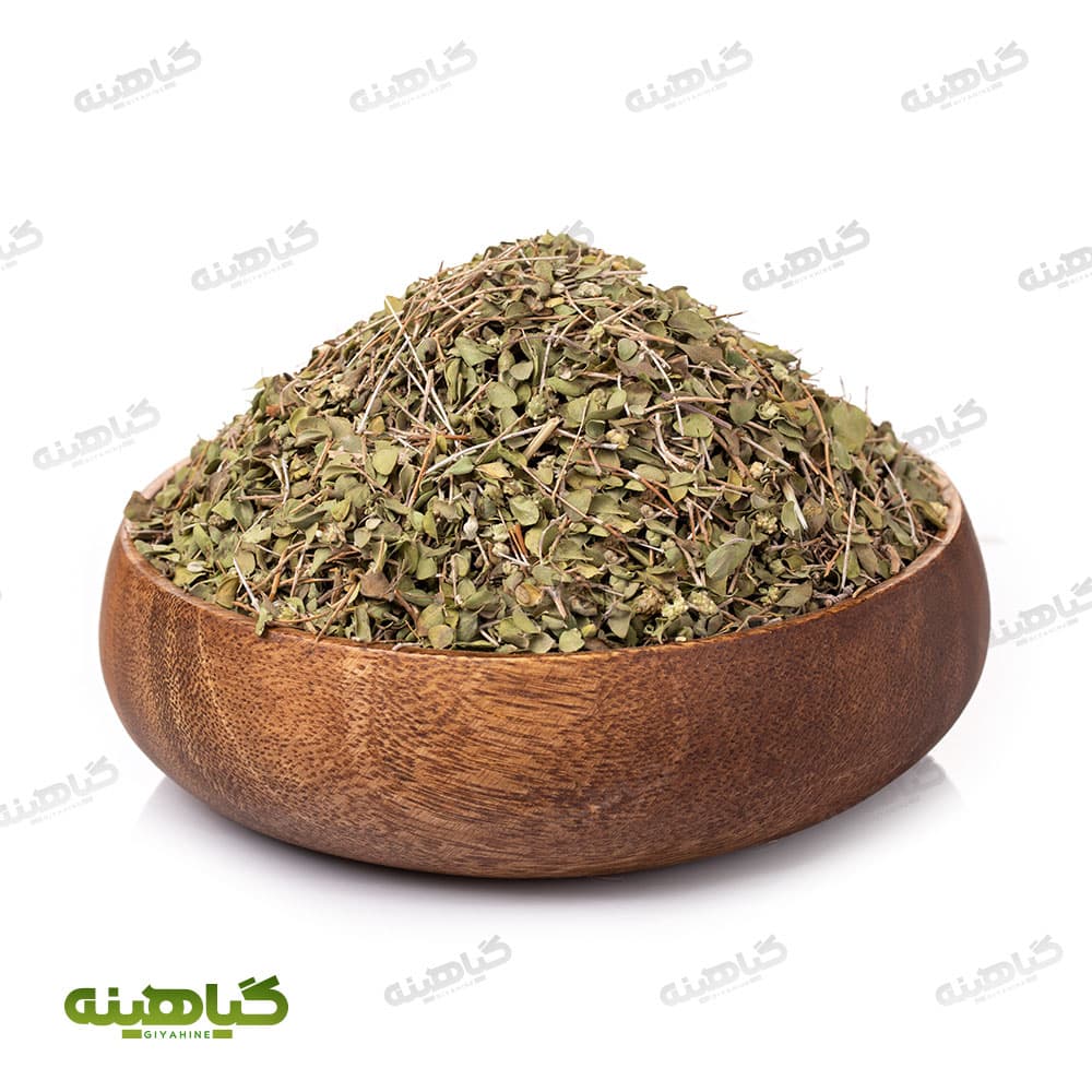 اویشن برگ شیرازی معمولی
