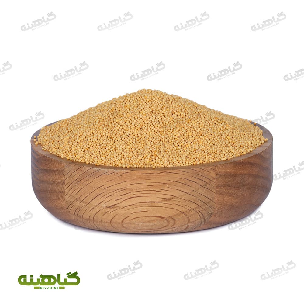 خردل زرد دان