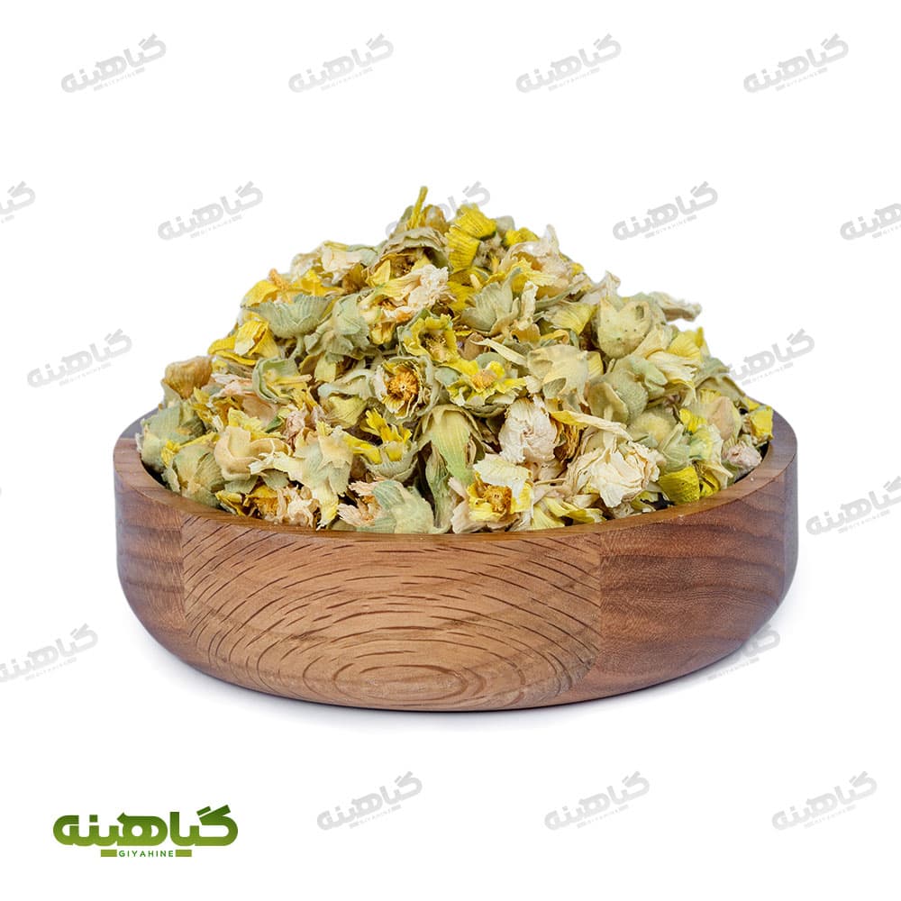 گل ختمی سفید
