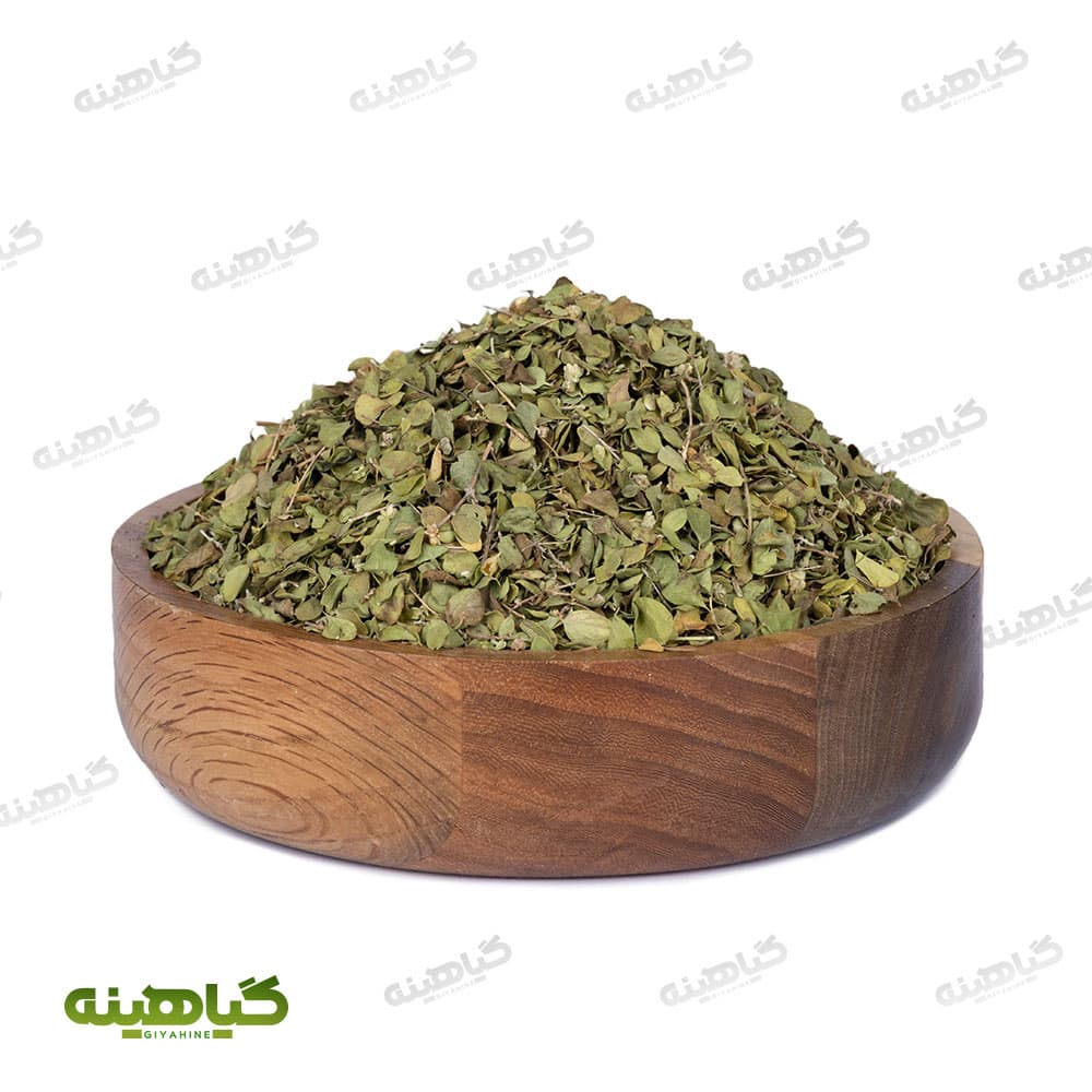 اویشن برگ شیرازی صادراتی image