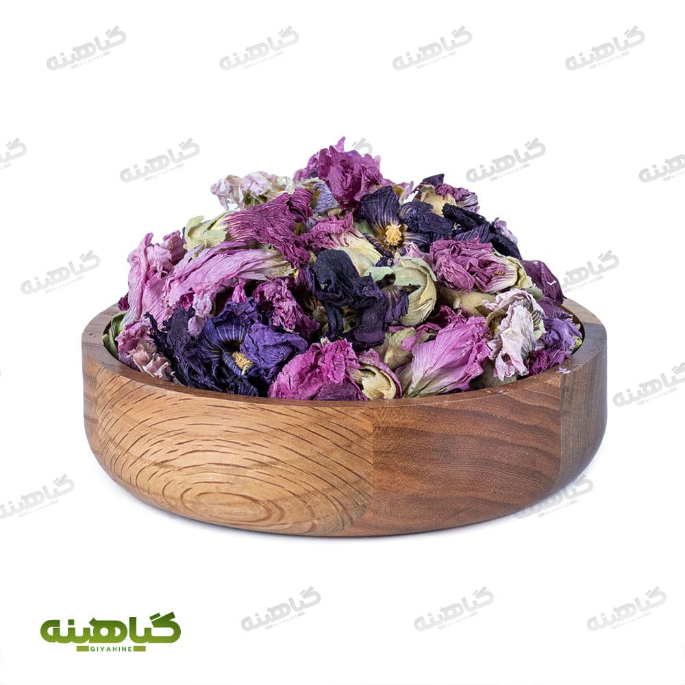 گل ختمی بنفش