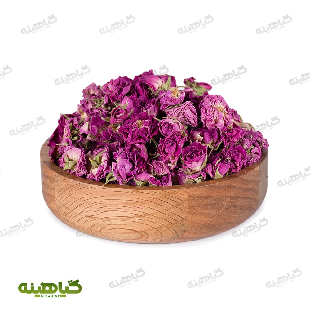 گل محمدی باز شده