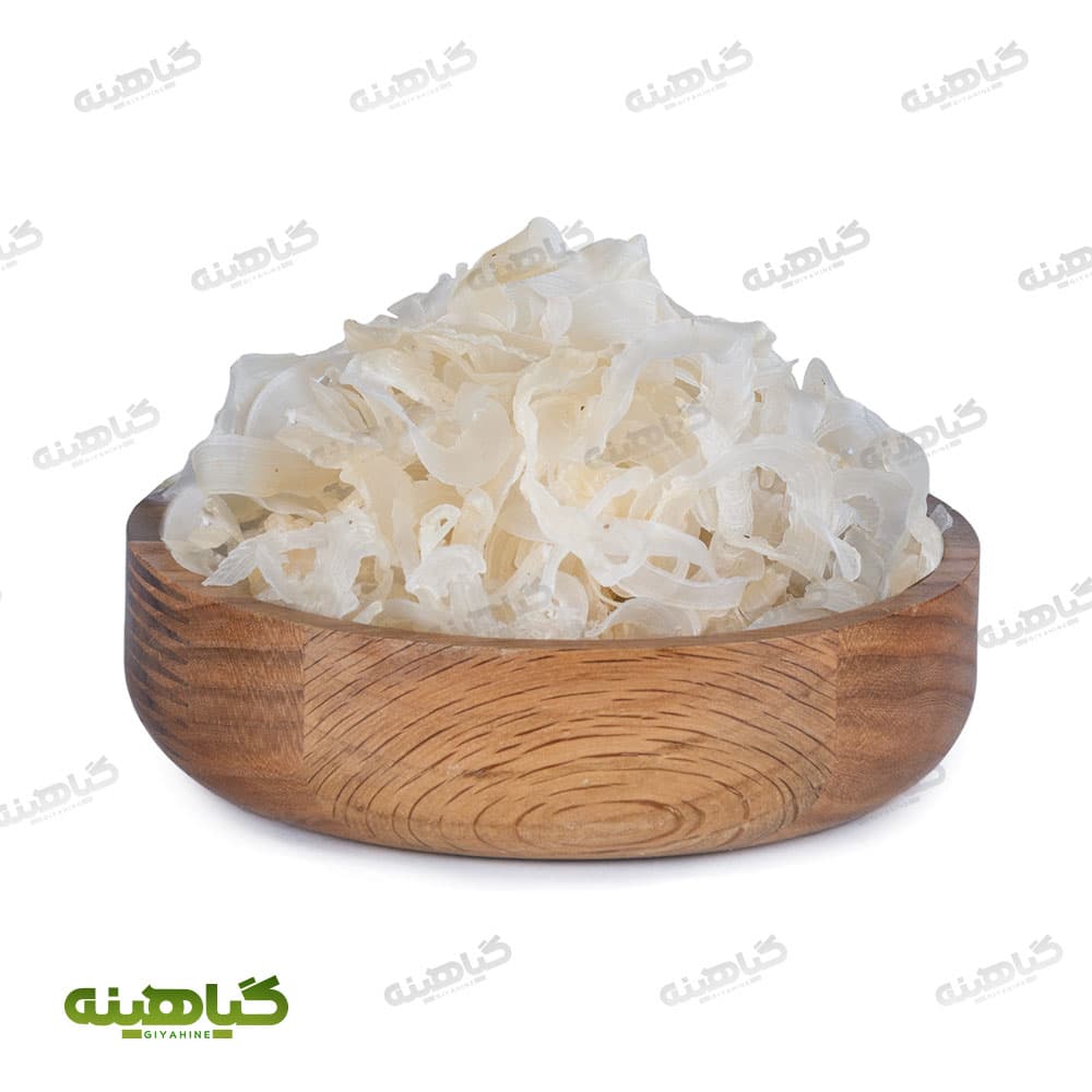 کتیرا صدفی