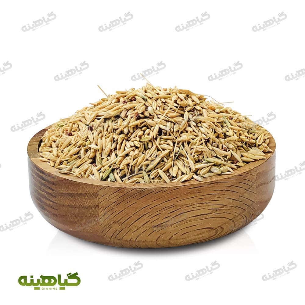 جو دوسر با پوست