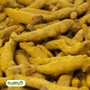 زردچوبه قلم لوکس گیاهینه image