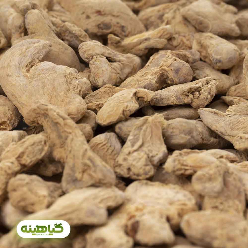 زنجبیل قلم چینی image