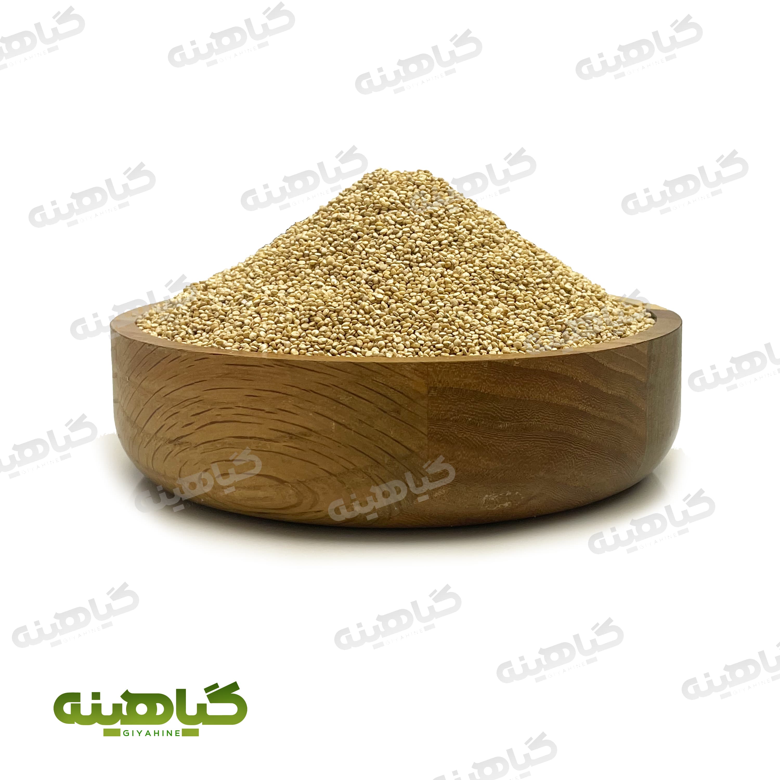 کینوا سفید هندی