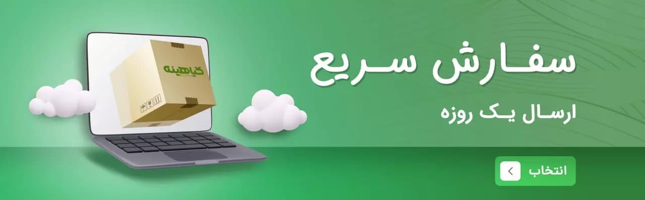 home banner